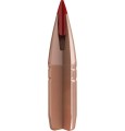 big_CX-Bullet-3D-cutaway-illustration.jpg