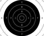 Tarcze - Środek TS-2 PSP pistolet sportowy, papier 90g, op. 100 szt. (L_200x200mm T05003ŚR)