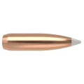 Nosler_Pociski-54825-ab-30-180gr-bullet-box-highrez2.webp