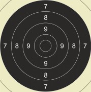 Tarcze - Środek tarczy do pistoletu sportowyego "PSP", karton 200x200mm, op. 50 szt. (L_200x200mm, T05005)