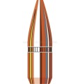 2263B-22-Cal-224-55gr-HP.jpg
