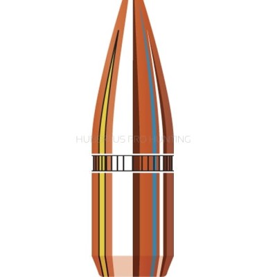 2263B-22-Cal-224-55gr-HP.jpg